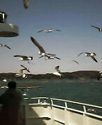 050306_1113~02.JPG