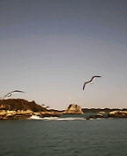 050306_1127~02.JPG