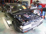 703fd041.JPG