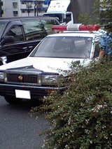 f8311ebd.jpg