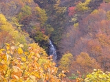 磐梯山2005秋2とび滝