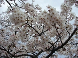 かみね公園2