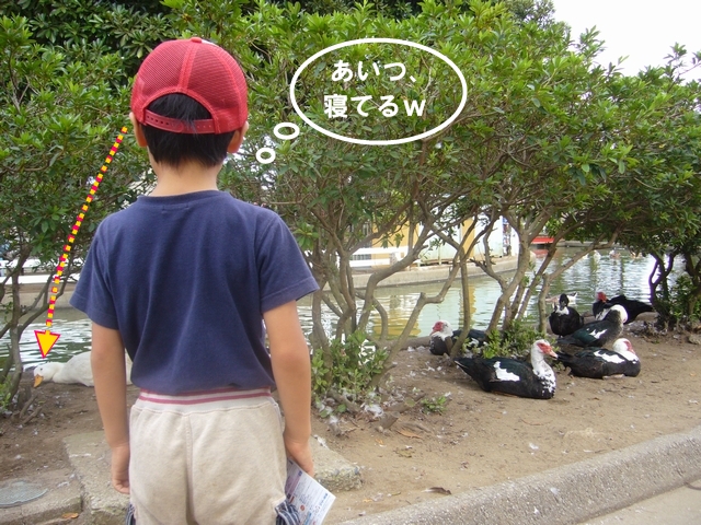 chiba06