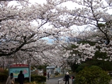 かみね公園3