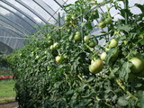 DSCF0010