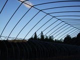 DSCF0006