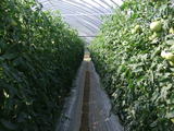 DSCF0006