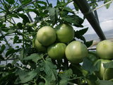 DSCF0008