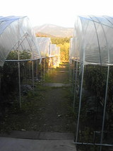 cb029524.jpg