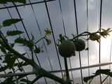 DSCF0027
