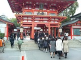 ikuta