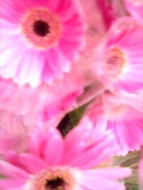 37b88e0e.jpg