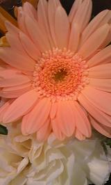 c72a9372.jpg