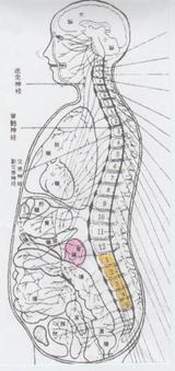 ddb10526.jpg