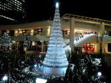 7f7e5a39.JPG