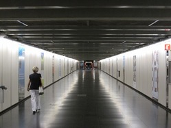 IMG_3042