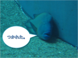 お疲れ2009