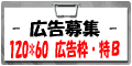 �����罸��