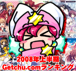 2008年上半期ランキング