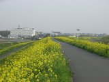 �ڤβ֥�����