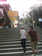 513e528b.jpg