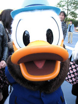 725baf79.jpg