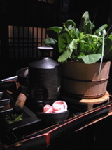 NINJA AKSAKA �ޣ�