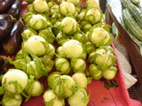 スリナムの野菜「アントゥラン」