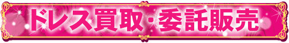 �ɥ쥹������������