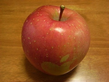 apple00010003