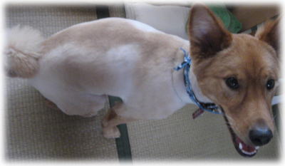 blog080801-5