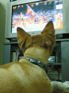 オリンピック開会式観覧中