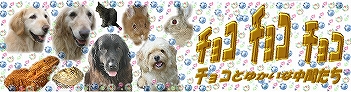 ���祳�����祳�����祳