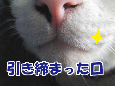引き締まった口