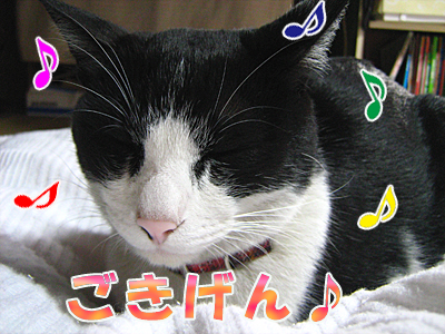 ごきげん