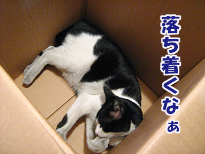 おちつくなぁ