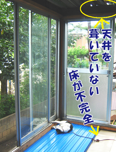 ちょびの部屋