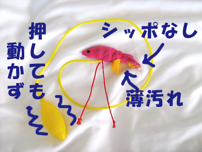 えびくんその後