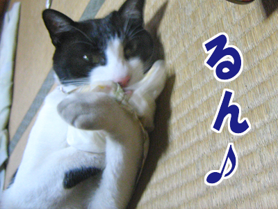 るん♪