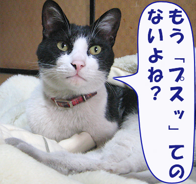 ぷすっ
