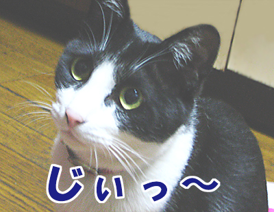 じぃっ〜