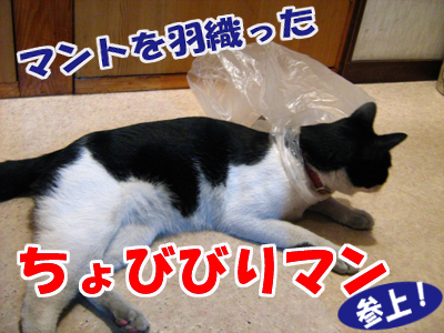 ちょびびりマン参上!