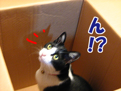 ん?