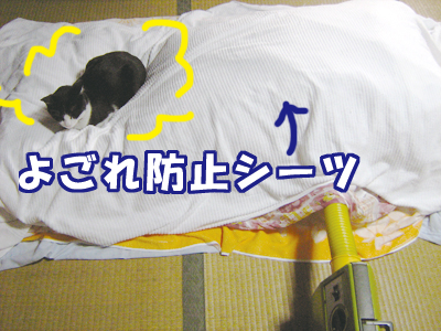 布団乾燥機とともに