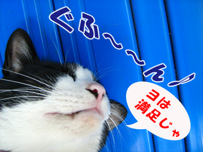 ヨは満足じゃ