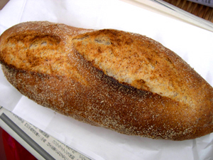 �饤���ѥ�