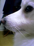 050305_2243~01.jpg