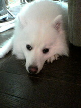 050504_2327~02.jpg