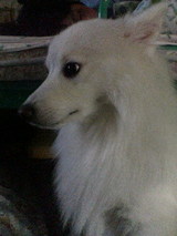b60d435d.jpg