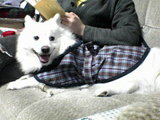 050321_2006~01_001.jpg